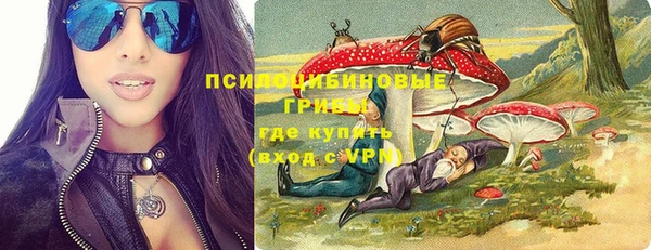 шишки Алзамай