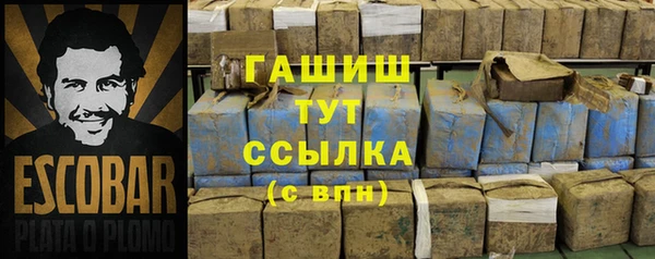 шишки Алзамай