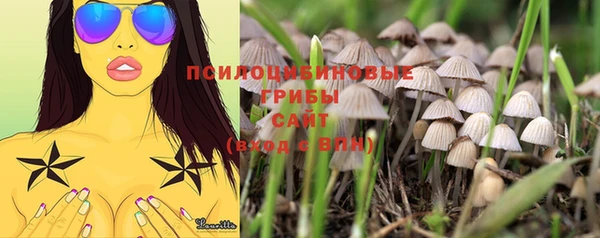 шишки Алзамай